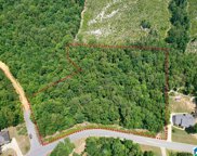 Southern Oaks Drive, Odenville image