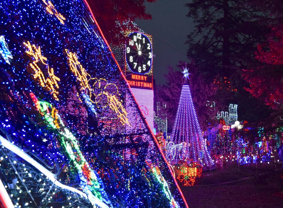 Christmas Tree Lane