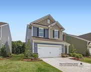 1602 Turkey Roost  Road Unit #251, Fort Mill image
