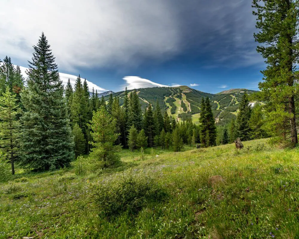 Copper Mountain Real Estate