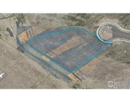 1505 Flowering Tree Ct, Windsor image