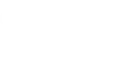 Realist Homes Team Realty