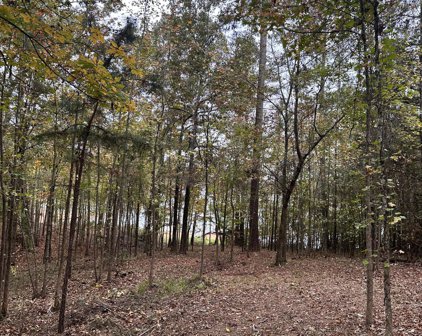 1431 ROCK POINT Cove, Tignall