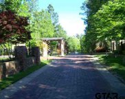 3335 Bridgewood Trail, Tyler image