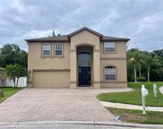 3913 Roswell Place, Land O' Lakes image