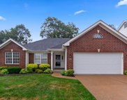 16444 Cherry Valley  Court, Wildwood image