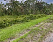 #4 Bignay Road, North Port image
