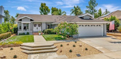 1141 Countrywood Lane, Vista