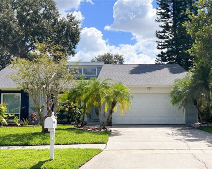 4746 Foxshire Circle, Tampa
