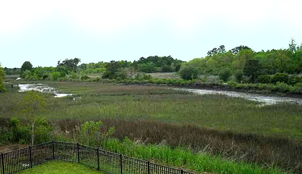 Marsh at Johns Island
