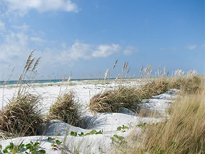 Navarre Real Estate