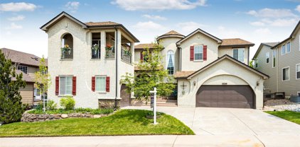 10144 Rustic Redwood Way, Highlands Ranch