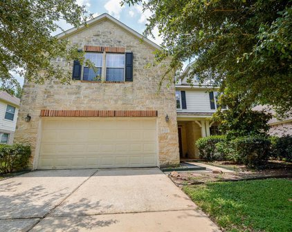 11407 Maple Falls Drive, Tomball