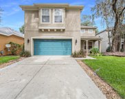 7322 Brightwater Oaks Drive, Tampa image