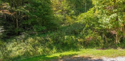 TBD Rocky Knob Trail, Sugar Grove