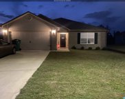 1094 Brookhaven Drive, Odenville image