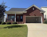 211 Fairway Ridge Drive, Chapin image