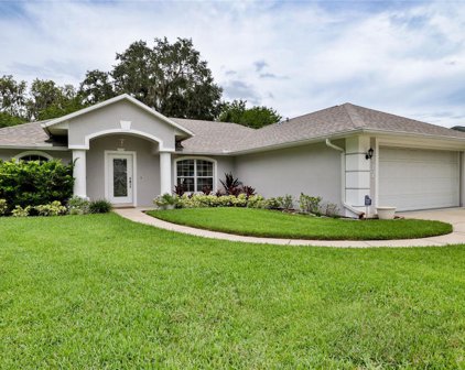 2117 Needle Palm Drive, Edgewater