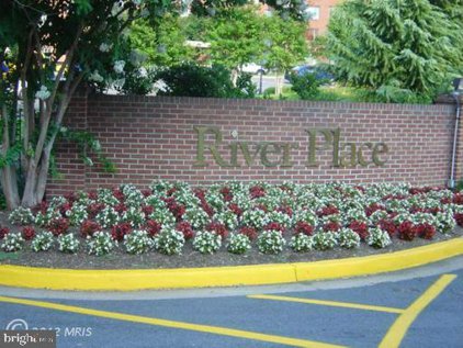 1021 Arlington Blvd Unit #233, Arlington