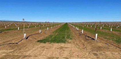 Road 62 & Road D, Willows