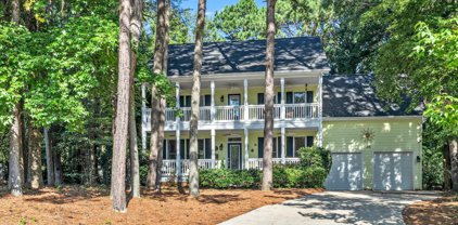 105 Pine Knob, Apex