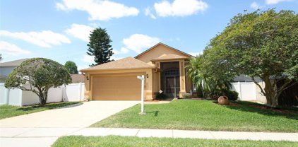 4324 Iveyglen Avenue, Orlando