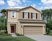 10455 Ladybug Cove, Parrish image