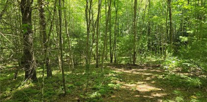 Lot 50 Deer Spring Ln/White Tail Trail, West Jefferson