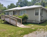 5852 Warrior River Road, Bessemer image