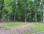 V/L W Meadow Road, E. Setauket image