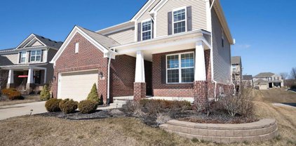 58152 Jonagold, Lyon Twp