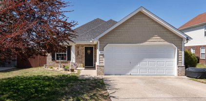 5006 Millpond Ct, Mount Juliet