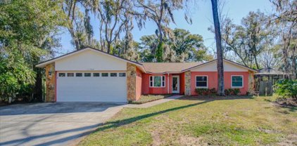 11502 River Country Drive, Riverview