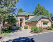 4511 Silver Cliff Court, Castle Rock image