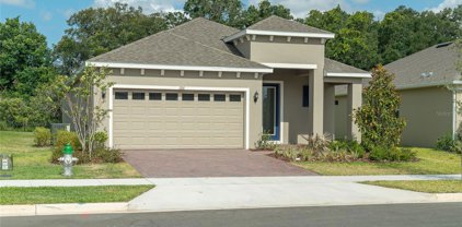 1101 Hendon Loop, Davenport