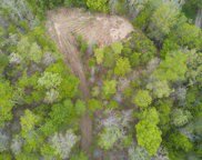 1323 Pressmens Home Road, Rogersville image