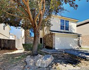 11115 Catchfly Field, Helotes image