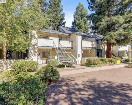 420 Sequim Cmn, Fremont