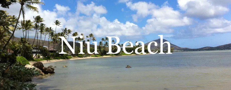 Niu Beach Market Report