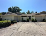 107 Parkside Colony Drive, Tarpon Springs image
