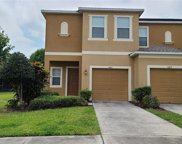 8421 Painted Turtle Way, Riverview image