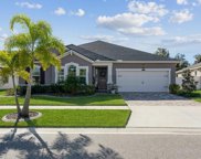 12923 Satin Lily Drive, Riverview image