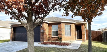 10041 Silent Hollow  Drive, Fort Worth