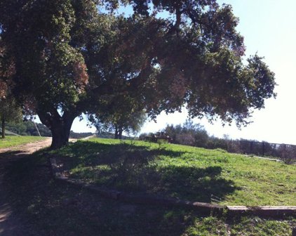 5 Asoleado DR, Carmel Valley