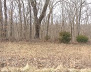 Lot 2 Tyler Branch  Road, Perryville image