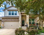 153 Summer Tanager, San Antonio image
