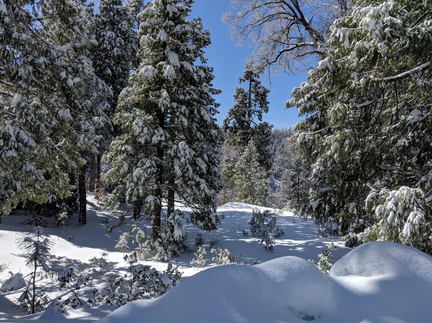 Crest Point Shaver Lake 93664