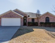 628 Dover Heights  Trail, Mansfield image