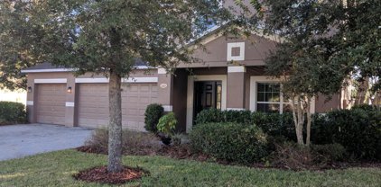 2527 Woodside Ridge Drive, Apopka