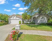 1119 Hounds Run, Safety Harbor image